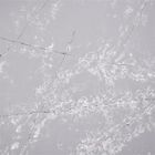 Biały wzór płatka śniegu Szary kamień kwarcowy Calacatta 3000 * 1500 mm